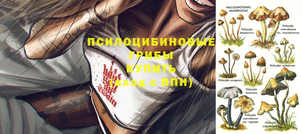 a pvp Кодинск