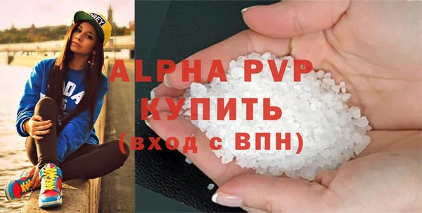 стаф Козельск