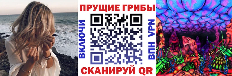 Купить где  Вилючинск  Псилоцибиновые грибы прущие грибы 