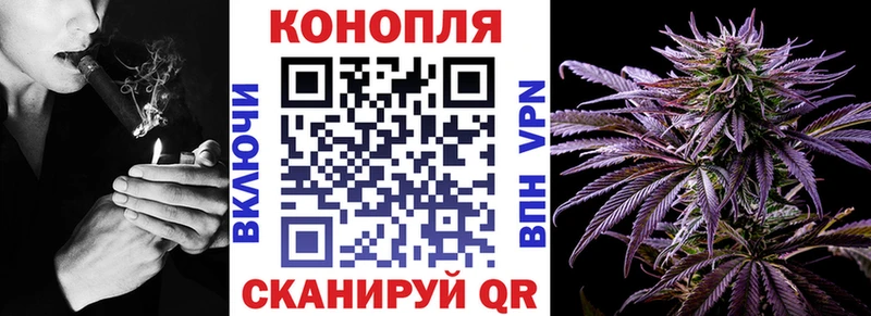 Канабис планчик  Купить где  Вилючинск 